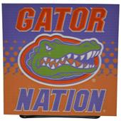 Illumasport Florida Gators Light Up Car Sticker