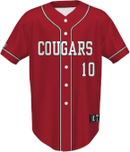 Custom Sublimated Baseball Jerseys
