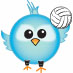 Follow us on Twitter