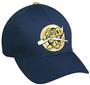 MINOR LEAGUE Charleston Riverdogs Baseball Cap