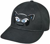 OC Sports MiLB Hudson Valley Renegades Replica Cap