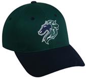 OC Sports MiLB Charlotte Knights Baseball Cap