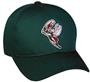 MINOR LEAGUE Savannah Sand Gnats Baseball Cap