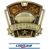 Hasty Awards 3" Varsity Football Medals M-787F Hasty Awards 3" Varsity Football Medals M-787F