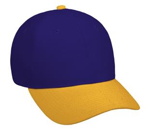 PURPLE/GOLD
