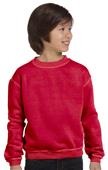 Authentic Pigment Yth Ringspun Cotton Fleece Crew