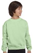 Authentic Pigment Yth Ringspun Cotton Fleece Crew