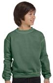 Authentic Pigment Yth Ringspun Cotton Fleece Crew