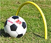 Fold-A-Goal Passing Arc (each) Fold-A-Goal Passing Arc (each)