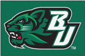 Fan Mats Binghamton University Starter Mat Fan Mats Binghamton University Starter Mat