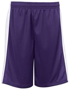 PURPLE/WHITE