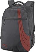 Puma Teamsport Formation Backpacks Puma Teamsport Formation Backpacks