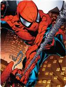 Northwest Marvel Spider-Man Web Swing Fleece Throw Northwest Marvel Spider-Man Web Swing Fleece Throw