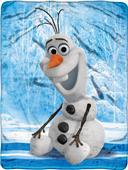 Northwest Frozen Chills & Thrills Raschel Throw Northwest Frozen Chills & Thrills Raschel Throw