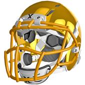 Xenith Epic Youth Football Helmet Pride Facemask Xenith Epic Youth Football Helmet Pride Facemask