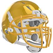 Xenith Epic Youth Football Helmet XRN-22 Facemask Xenith Epic Youth Football Helmet XRN-22 Facemask