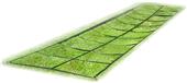 Hadar Adjustable Agility Ladder With Ropes Hadar Adjustable Agility Ladder With Ropes