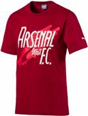 Puma AFC Arsenal Shoe Soccer Tee Shirt Puma AFC Arsenal Shoe Soccer Tee Shirt