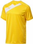 Puma Mens Santiago TG Short Sleeve Soccer Jersey Puma Mens Santiago TG Short Sleeve Soccer Jersey