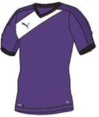 Puma Mens Santiago TG Short Sleeve Soccer Jersey Puma Mens Santiago TG Short Sleeve Soccer Jersey