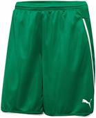 Puma Womens Speed Soccer Shorts Puma Womens Speed Soccer Shorts