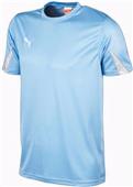 Puma Mens Team Soccer Jersey Puma Mens Team Soccer Jersey