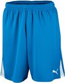 Puma Mens Team Soccer Shorts Puma Mens Team Soccer Shorts