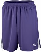 Puma Mens Team Soccer Shorts Puma Mens Team Soccer Shorts