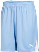 Puma Mens Team Soccer Shorts Puma Mens Team Soccer Shorts