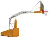 Bison T-Rex International Basketball System Bison T-Rex International Basketball System