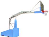 Bison T-Rex International Basketball System Bison T-Rex International Basketball System