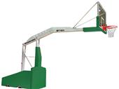 Bison T-Rex International Basketball System Bison T-Rex International Basketball System