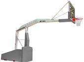 Bison T-Rex International Basketball System Bison T-Rex International Basketball System
