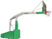 Bison T-Rex International Basketball System Bison T-Rex International Basketball System