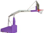 Bison T-Rex International Basketball System Bison T-Rex International Basketball System