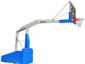 Bison T-Rex International Basketball System Bison T-Rex International Basketball System