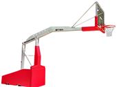 Bison T-Rex International Basketball System Bison T-Rex International Basketball System