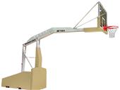Bison T-Rex International Basketball System Bison T-Rex International Basketball System