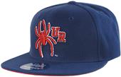 WRepublic Richmond Freshman Fitted College Cap WRepublic Richmond Freshman Fitted College Cap