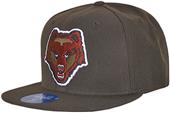 WRepublic Brown Univ Freshman Fitted College Cap WRepublic Brown Univ Freshman Fitted College Cap