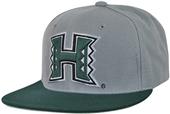 WRepublic University Hawaii College Snapback Cap WRepublic University Hawaii College Snapback Cap