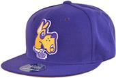WRepublic University Albany College Snapback Cap WRepublic University Albany College Snapback Cap