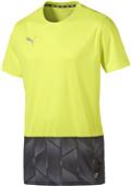 Puma Mens ftblNXT Graphic Shirt Puma Mens ftblNXT Graphic Shirt