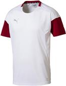 Puma Mens ftblNXT Shirt Puma Mens ftblNXT Shirt