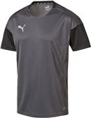 Puma Mens ftblNXT Shirt Puma Mens ftblNXT Shirt
