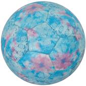 Vizari Freesia 32 Panel Practice Soccer Balls Vizari Freesia 32 Panel Practice Soccer Balls