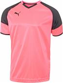 Puma Mens Borussia Short Sleeve Jersey Puma Mens Borussia Short Sleeve Jersey