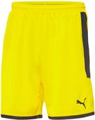 Puma Mens Borussia Shorts Puma Mens Borussia Shorts