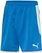 Puma Mens Borussia Shorts Puma Mens Borussia Shorts