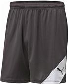 Puma Mens Santiago Shorts Puma Mens Santiago Shorts